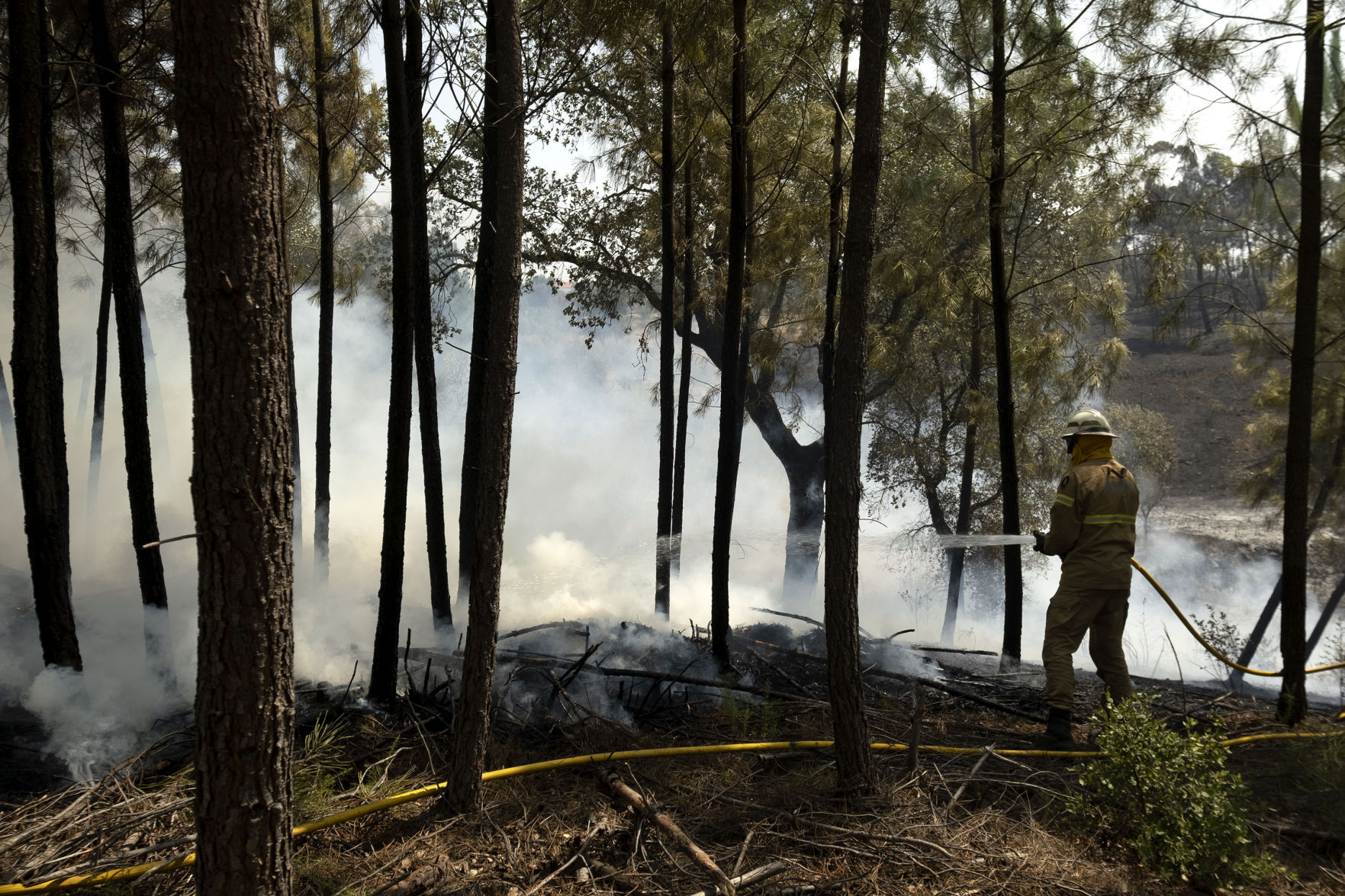 Portugal Wildfires